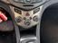 Immagine 19