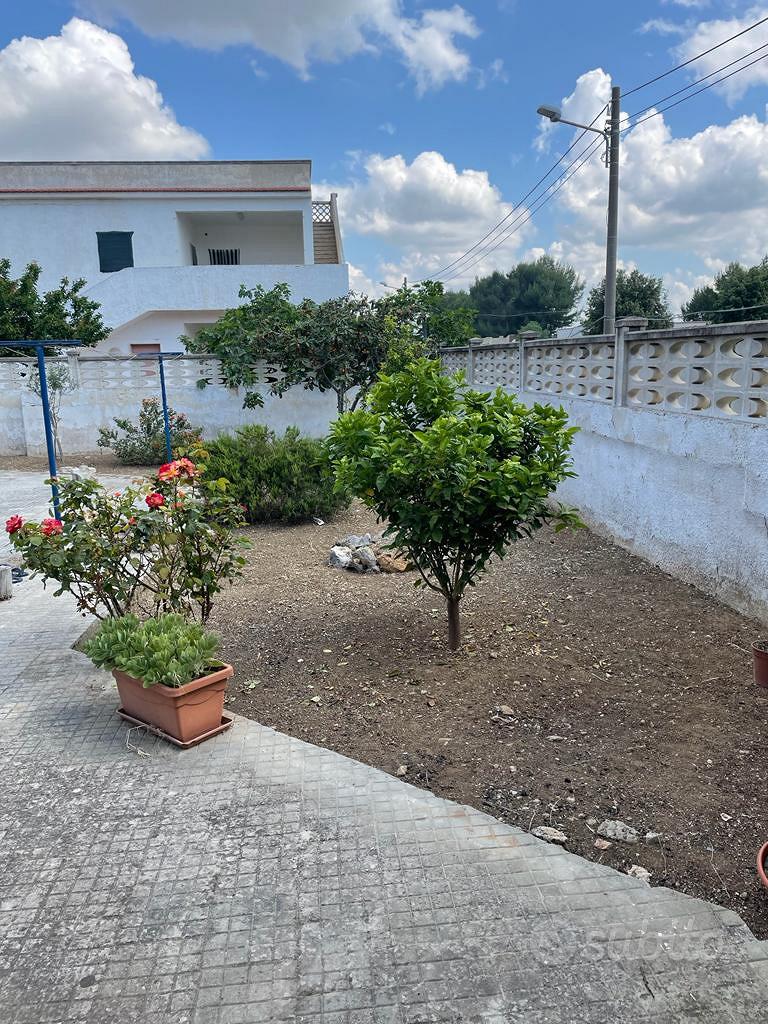 House in Lizzano, Le Conche - Vista 3