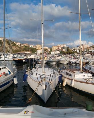 Barca a vela stag 18