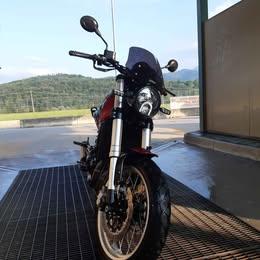 Benelli leoncino  500 Trail 2023