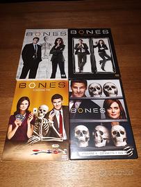 dvd bones 4 stagioni