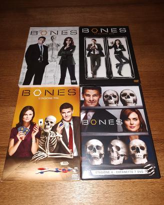 dvd bones 4 stagioni