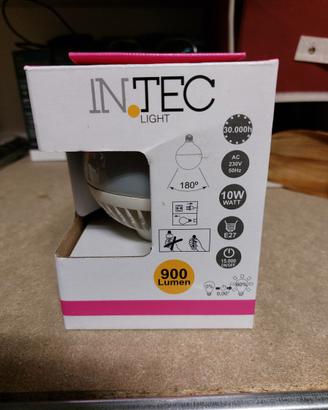 Lampada lampadina grande tonda INTEC 900 lumen