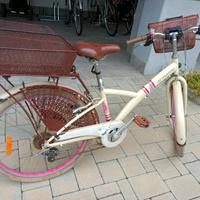 Bicicletta