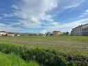 ter-agricolo-a-dueville
