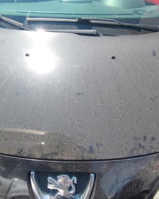 PEUGEOT 206 PLUS 2010 COFANO ANTERIORE