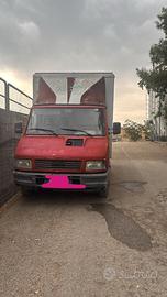 TASPORTO ANIMALI VIVI PATENTE B IVECO PASSO CORTO
