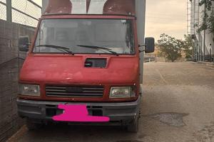 TASPORTO ANIMALI VIVI PATENTE B IVECO PASSO CORTO