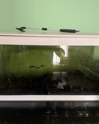 MTB Acquario 100 lt