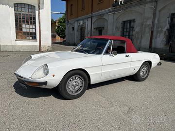 Alfa Spider Veloce