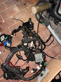 Impianto elettrico duke 390