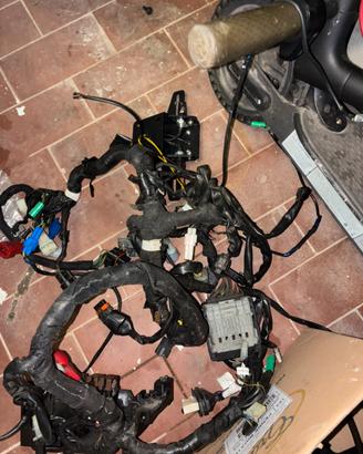 Impianto elettrico duke 390