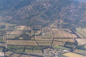 100 ha. a 7 km .da capo ferrato
