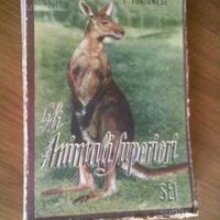 Gli animali superiori e Il 1°Cent di Zio Paperone