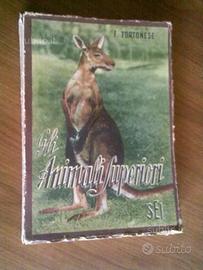 Gli animali superiori e Il 1°Cent di Zio Paperone