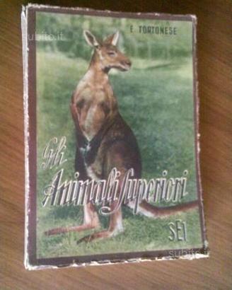 Gli animali superiori e Il 1°Cent di Zio Paperone