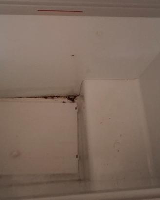 pozzetto freezer funzionante 