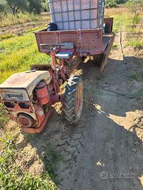 Motoagricola pasquali