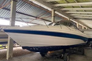 Monterey 236 Montura Cuddy