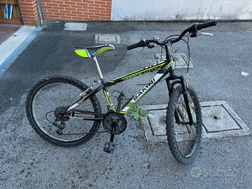 Bicicletta Vertical Sambi