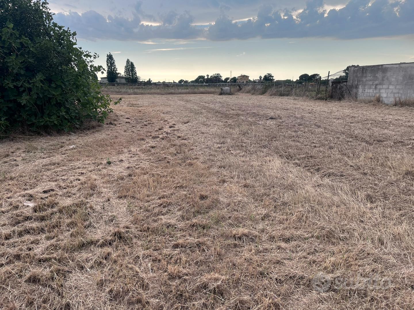 Terreno agricolo 2000mq - Altro