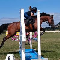 Splendida doppia pony da salto