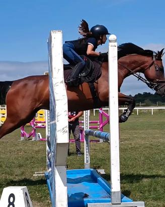 Splendida doppia pony da salto