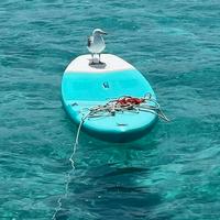 sup condizioni eccellenti