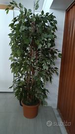 pianta artificiale h 1,60