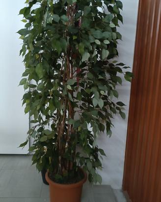 pianta artificiale h 1,60