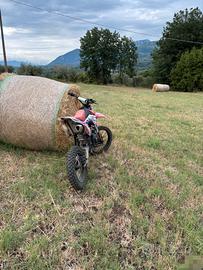 pitbike 140 