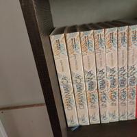 Insegnare per moduli