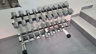 Manubri da 1kg a 10kg con supporto.