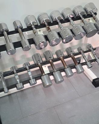Manubri da 1kg a 10kg con supporto.