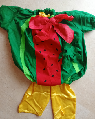 Costume di carnevale Anguria