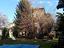 Immagine 12