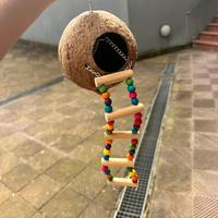 Giochino per criceti