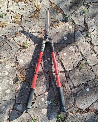 Forbicioni da giardino