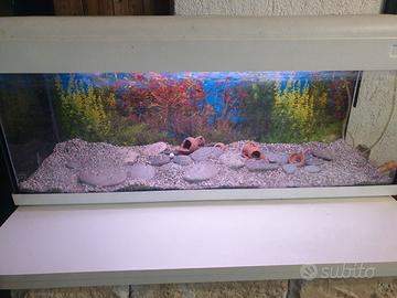Acquario 100litri