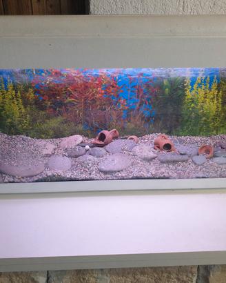Acquario 100litri