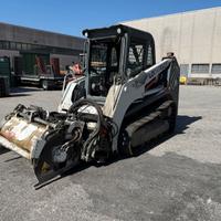 Minipala cingolata Takeuchi mod. TL140