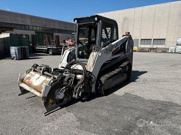 Minipala cingolata Takeuchi mod. TL140