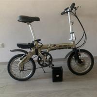 Bici elettrica