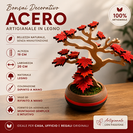Bonsai di Acero rosso