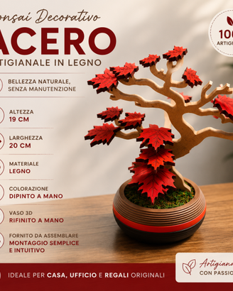 Bonsai di Acero rosso