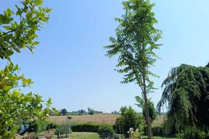 Rustico / Casale di 279 m² con più di 5 locali e b