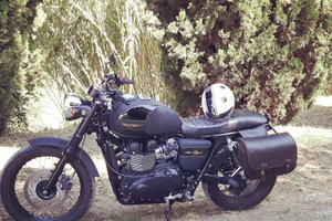 Triumph unica nel suo genere