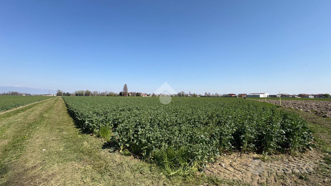 TER. AGRICOLO A SAN GIORGIO IN BOSCO - Vista 2