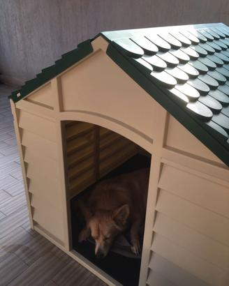 cuccia grande x cani