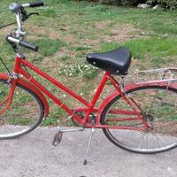 Bicicletta da passeggiate.